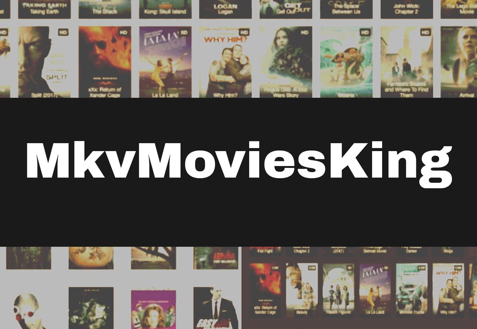 You are currently viewing MkvMoviesKing, Mkv Movies 2023 – Latest New Bollywood, Hollywood, Tollywood Movies