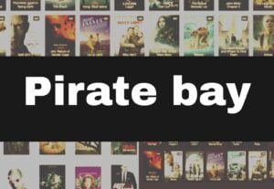 Read more about the article The Pirate bay Torrent Website 2022 – Official Bittorrent Movie Download, Proxy & list, torrent