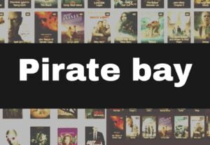 Read more about the article Pirate Proxy 2023 – Pirate bay proxy list Working Torrent Search