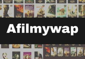 Read more about the article Afilmywap.in Movie 2023 – Watch Latest HD Bollywood, Hollywood Movies on afilmywap guru afilmywap.hit, AFilmywap.com