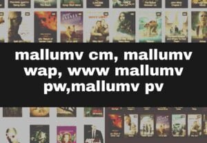 Read more about the article Mallumv PW, Mallumv PM, Mallumv Cz, Mallumv PV 2024 – Watch New HD Movies Download Website