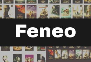 Read more about the article Feneo Movies 2023 – Download & Streaming HD Movies Website