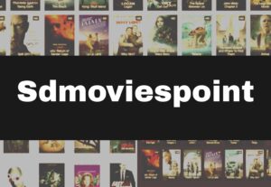 Read more about the article Sdmoviespoint 2023 – Latest HD Movies Download ,Illegal Bollywood Movies