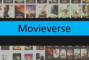 Read more about the article Movieverse 2023 – Latest Bollywood, Hollywood, Tamil, TeluguHD Movies Download Website