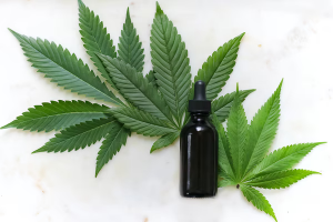 Read more about the article CBD Age Requirements: How Old Do You Have to Be to Buy Hemp Products?