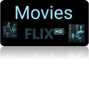 Read more about the article Hdmovies Flix 2023 – Watch Hollywood, Punjabi, Bollywood, Tamil & Telugu Movies