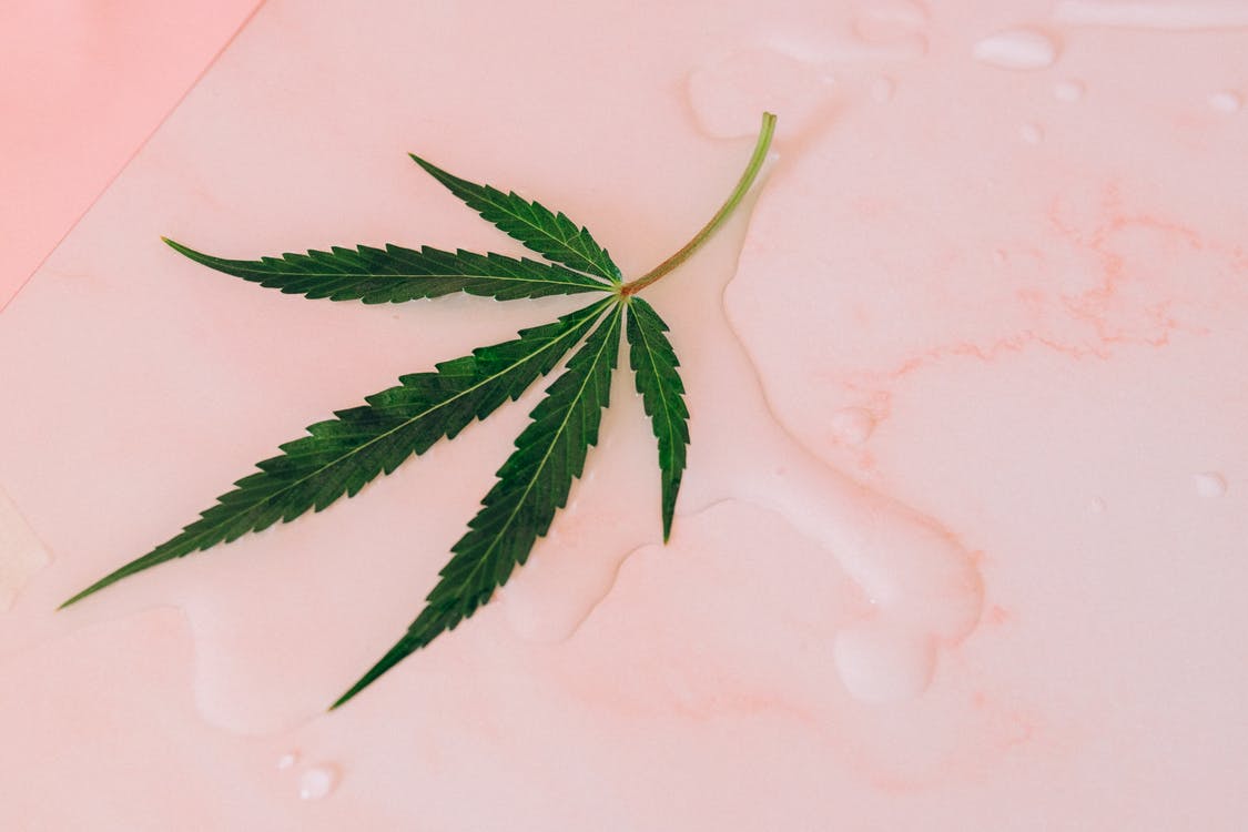 You are currently viewing Full Spectrum Vs CBD Isolate: What Spectrum Should You Use?