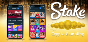 Read more about the article Meet Stake Casino — Crypto Gambling Colossus in India